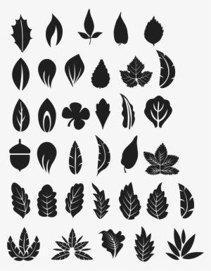 Tree Leaves Vector Free - Free Tree Leaf Vector #2981692