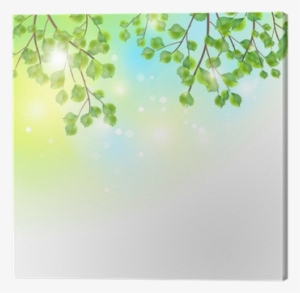Green Leaves Tree Branches Vector Background Canvas - Fondo Arboles Vector #2982243