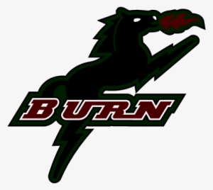 N/a - Dallas Burn #2982674