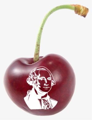 George Washington & Cherry Pie Hikes - Black Cherry #2983222