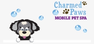 Mobile Dog Groomers & Pet Spa - Santa Gift Enclosure Cards #2983454