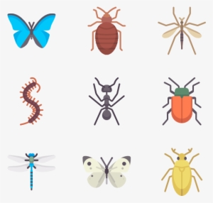 Insects - Insect #2983668