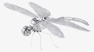Metal Earth Bugs - Dragonfly Metal Earth 3d Model #2984213