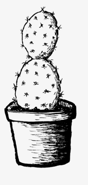 Slow Burn - Permalink #2984479