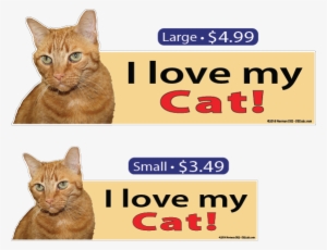 I Love My Tabby Cat - Cat #2986562