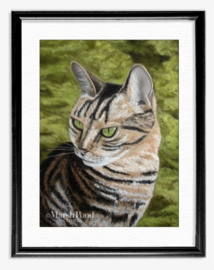 Wm-tabbycat Black #2986662