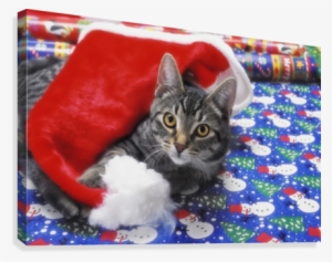 Grey Tabby Cat With Santa Claus Hat Lying On Christmas - Grey Tabby Cat Christmas #2986834