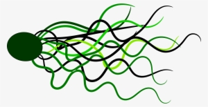Flowing Png #2986856