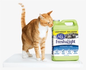 Cat's Pride Litter Is Stocked In Stores Across America #2986884