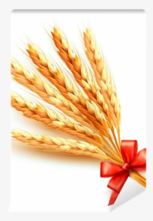 Ears Of Wheat With Red Bow - Spighe Di Grano #2987619