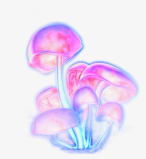 Mushrooms Shrooms Trippy Trippyart Freetoedit - Glowing Mushroom Png #2987797