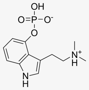 Psilocybin Chemical Structure - 4 Ho Dmt Molecule #2988233