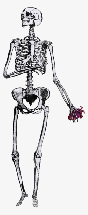 Image Of Heartless - Illustration #2988961