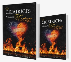 Ver Tienda - Book Cover #2989591