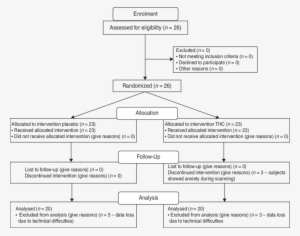Consort Flow Diagram Illustrating The Progress Of All - Flowchart #2989883