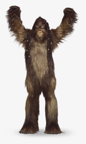 Workout Silhouette Png - Star Wars Wookie Png #2990391