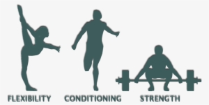 Flexibility, Conditioning And Strength - Flexibility & Conditioning #2990438