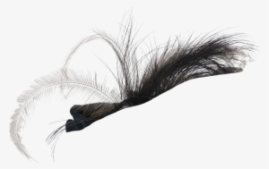 Mr Whiskers Steamhats Feathers Bonus - White Pine #2991179