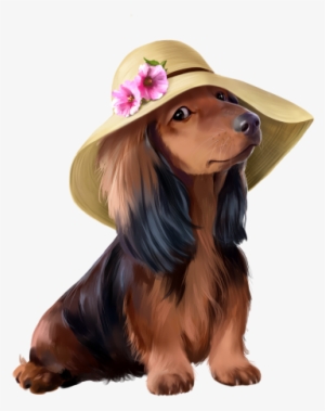 Daschund-hat - Dog #2991358