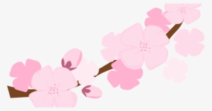 Clipart Resolution 1200*630 - Cherry Blossom Png Transparent #2992492 Clipart Resolution 1200*630 - Cherry Blossom Png Transparent #2992492