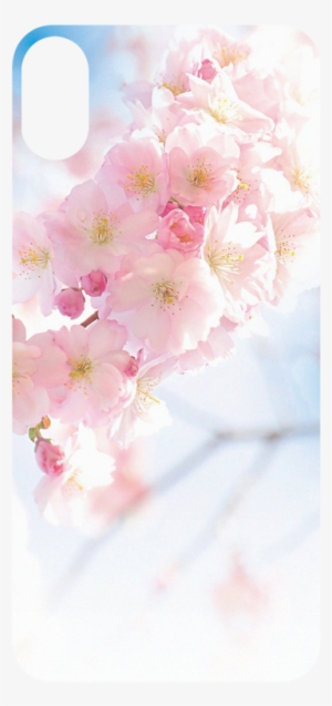 Ssa0108653 A018 - Kw-commerce Crystal Case Für Samsung Galaxy J5 (2015) #2992537