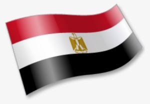 هاله زايد وزيره الصحة #2992614