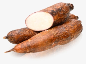 Yuca - Imagen De Una Yuca #2995305