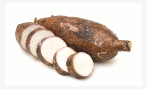 Cassava - Cassava Cyanide Poisoning #2995898