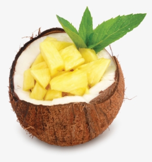 Collection Scent - Cocomo - Dessert #2995916