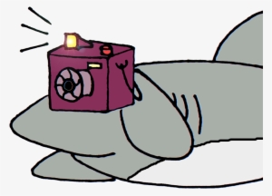 Shark With Camera Cartoon #2999049