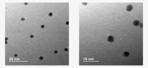 Au Np - Monochrome #2999657