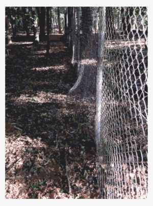 Lichtscheid Forest Tree Fence Sculpture #30130