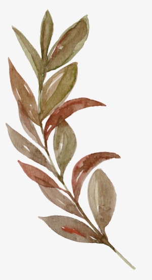 Watercolor Branches Leaves Free Illustration - Rustikaler Erntedank Verlässt Stoff-servietten Serviette #30512