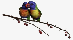 Png Bird By Thoartispixel On Clipart Library - Beautiful Flying Birds Png #30697