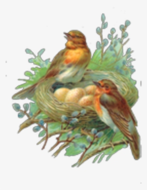 Ftestickers Birds Robins Nest Watercolor #31278