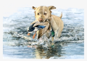 Dog With Bird - Labrador Retriever #31402