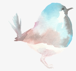 Spring Watercolor Birds - Seabird #31472