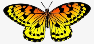 Black And Orange Drawing Of Butterfly - Butterfly Clipart #31534