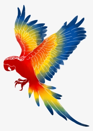 Macaw Png Transparent Images - Brazil Macaw Png #31708 Macaw Png Transparent Images - Brazil Macaw Png #31708