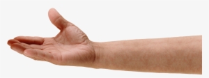 Hand Arm Png #31794