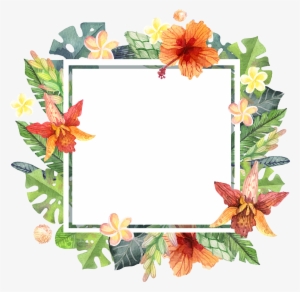 Summer Border Png - Border Watercolor Summer Png #31847