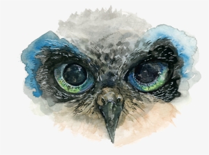 Owl Eyes Png Png Library - Owl Eyes Drawing Png #31934