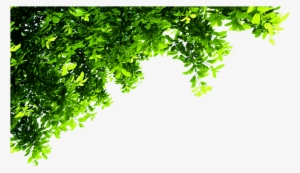Top Tree Transparent - Corner Tree Png #32043