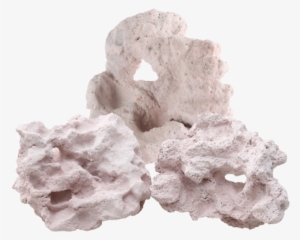 Coral Rock Png - 3dm Reef Rocks #32173