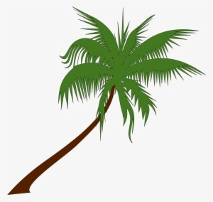 Palm Tree Drawing Png At Getdrawings - Summer Coconut Tree Clip Art #32268