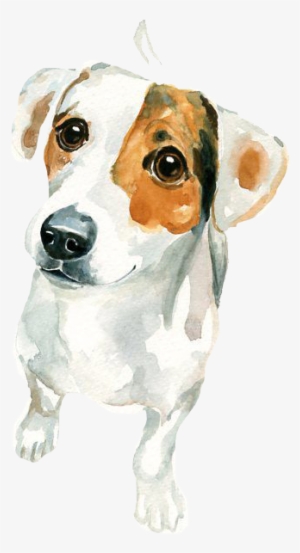 Jack Russell Terrier Watercolor Painting Art - Watercolor Painting Jack Russell #32269
