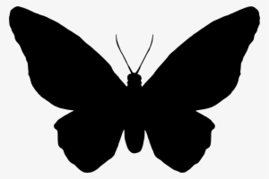 Download Png - Papillon Pictogramme #32286