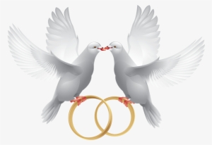 Marriage Clipart Dove - Wedding Ring With Dove #32288 Marriage Clipart Dove - Wedding Ring With Dove #32288