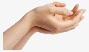 Hand Images Hd Png #32682