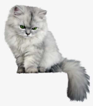 Cat Transparent Fluffy - Fluffy Cat Png #32780